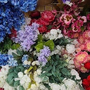 Meet your Posher, Mel